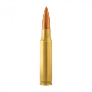 Aguila Standard .308 Win. 150GR FMJ 20 Patronen