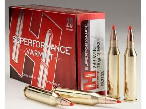 Hornady Superformance Varmint .243 Win. 75GR V-Max 20 Patronen