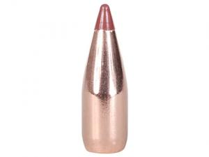 Hornady Geschoss .22/.224 NTX VARMINT 35GR 100 Stück