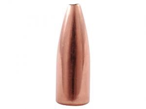 Nosler Geschoss Varmageddon .17/.172 20GR FBHP 100 Stück