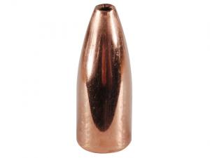 Nosler Geschoss Varmageddon 6mm/.243 55GR FBHP 100 Stück