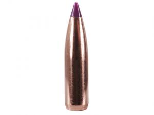 Nosler Geschoss Ballistic Tip Hunting 6mm/.243 90GR Spitzer 50 Stück