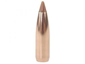 Nosler Geschoss Ballistic Tip Hunting 6,5mm/.264 100GR Spitzer 50 Stück