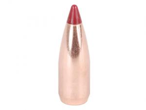 Nosler Geschoss Ballistic Tip Varmint .20/.204 32GR Spitzer 100 Stück