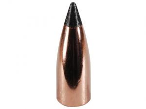 Nosler Geschoss Varmageddon .22/.224 35GR Tipped FB 100 Stück