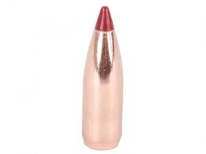 Nosler Geschoss Ballistic Tip Varmint .20/.204 40GR Spitzer 250 Stück