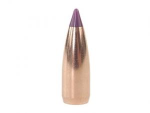 Nosler Geschoss Ballistic Tip Varmint 6mm/.243 55GR Spitzer 250 Stück