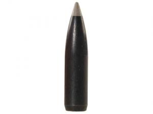 Nosler Geschoss Ballistic Silver Tip 6mm/.243 95GR Spitzer 50 Stück