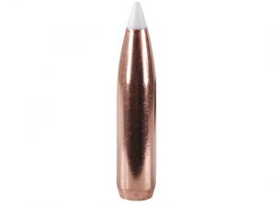 Nosler Geschoss Accubond 7mm/.284 160GR Spitzer 50 Stück