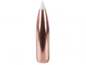 Nosler Geschoss 6mm/.243 Accubond 90GR Bonded Spitzer Boat Tail 50 Stück