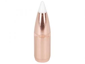 Nosler Geschoss Accubond 6,8mm/.277 100GR Cann 540 Spitzer 50 Stück