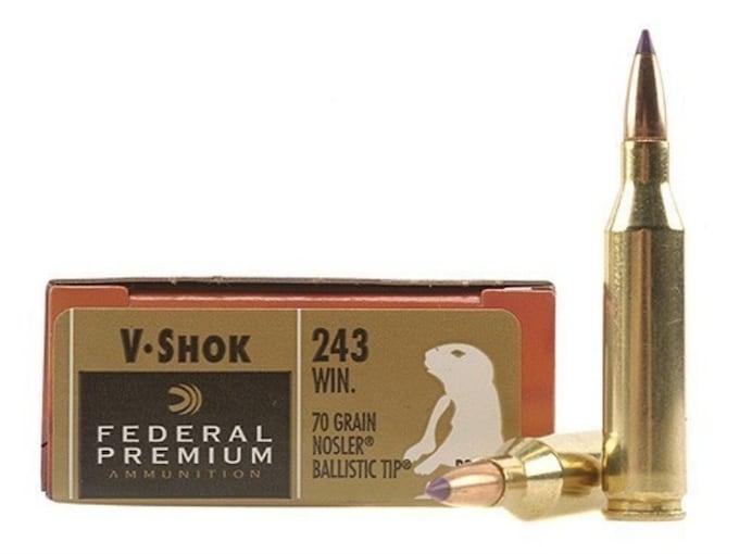 Federal Premium Varmint & Predator Nosler Ballistic Tip .243 Win. 70GR 20 Patronen