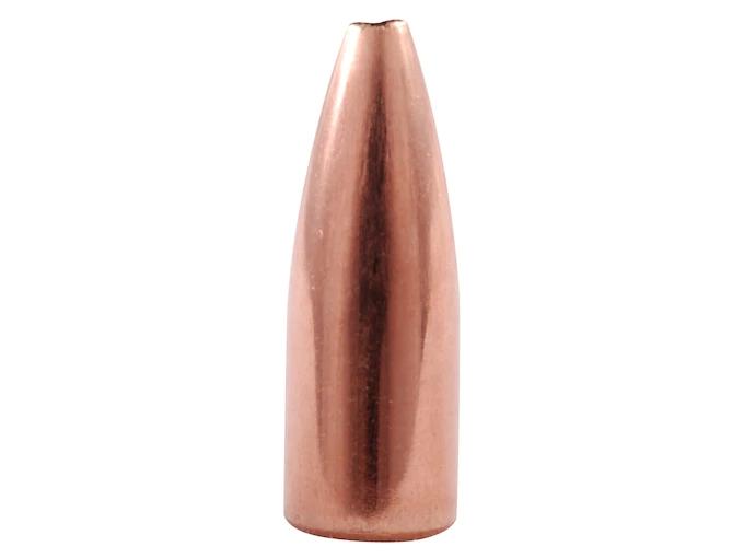 Nosler Geschoss Varmageddon .17/.172 20GR FBHP 100 Stück