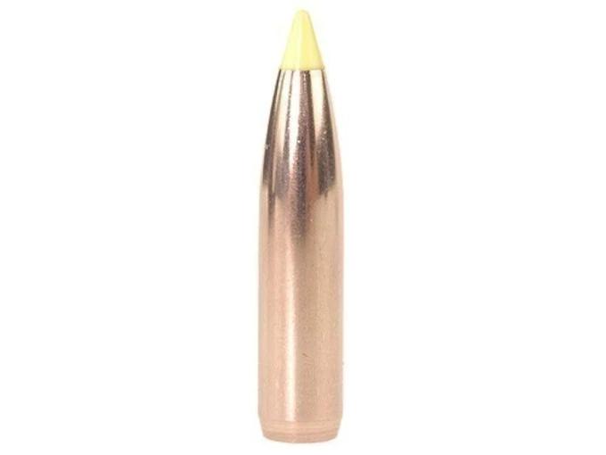 Nosler Geschoss Ballistic Tip Hunting .270/.277 150GR Spitzer 50 Stück