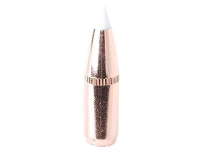 Nosler Geschoss Accubond .270/.277 110GR Spitzer 50 Stück