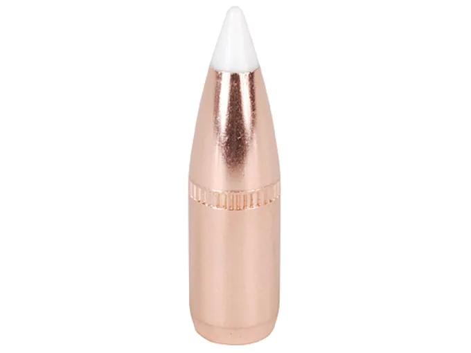 Nosler Geschoss Accubond 6,8mm/.277 100GR Cann 540 Spitzer 50 Stück